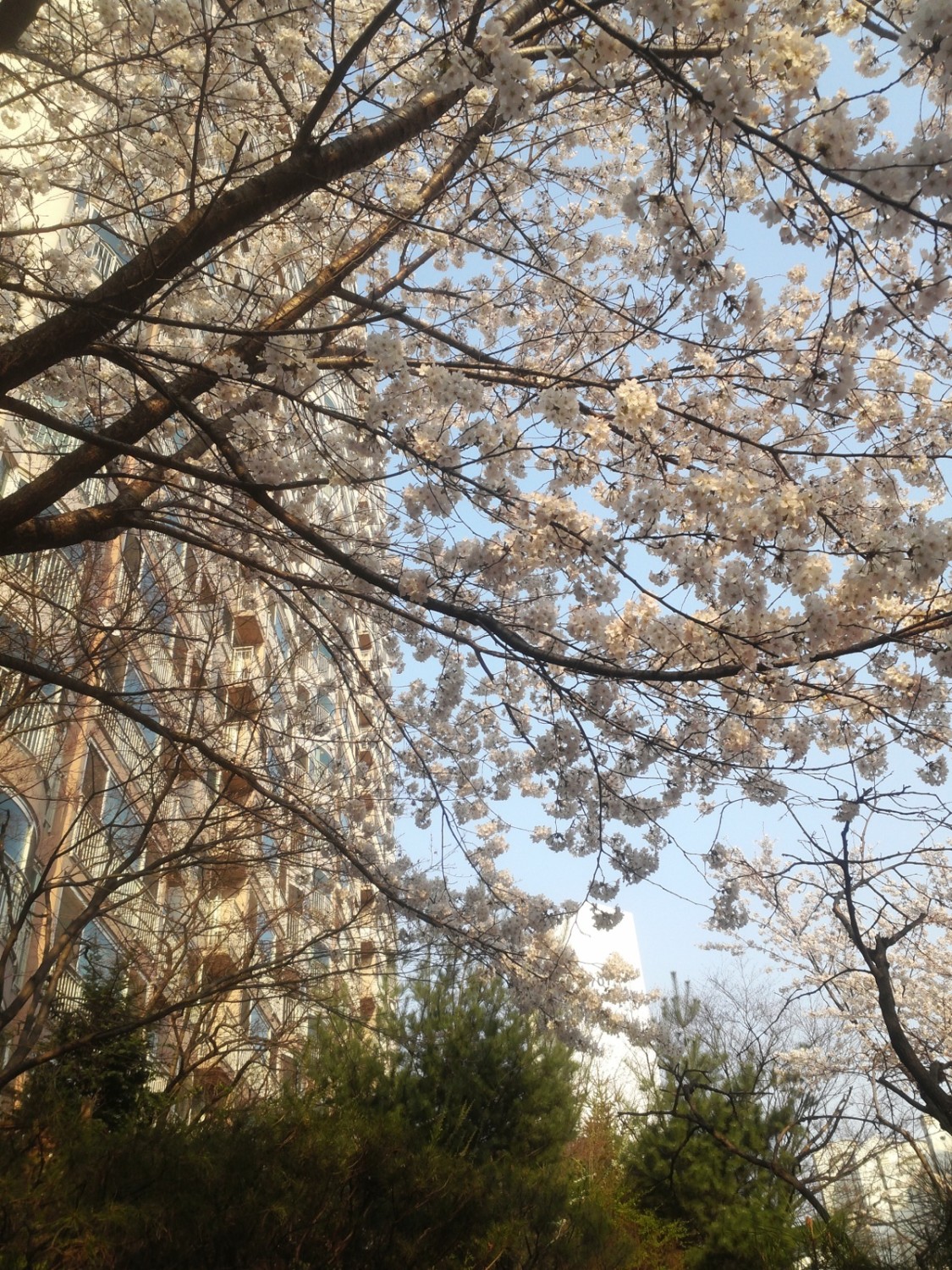 Jang Soohyeon